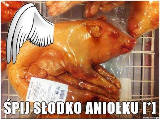 tomaszgrey's tweet photo. @AlicjaSelerska https://t.co/xexRAZoLXp