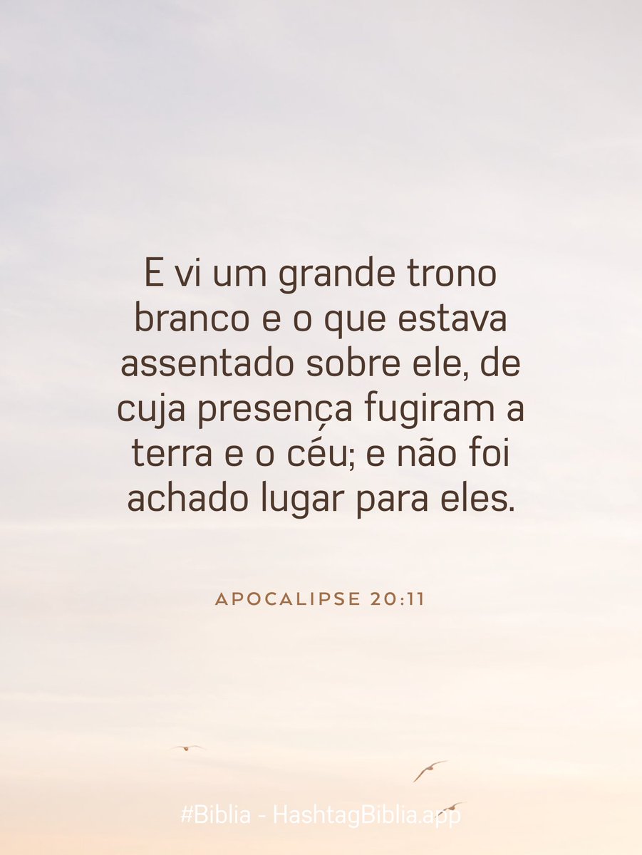 Jose Carlos Magazoni tweet media