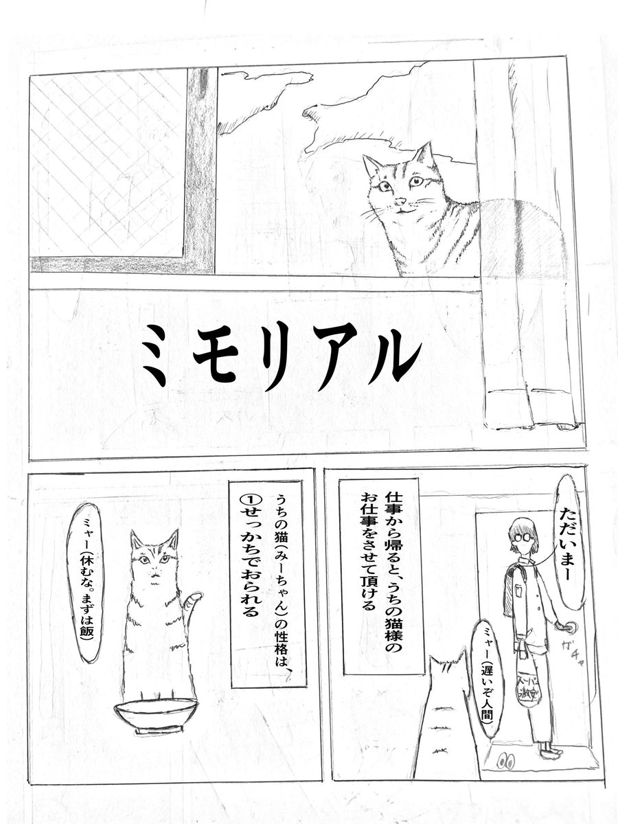 quehorees's tweet photo. うちの猫との物語
ミモリアル①
続きは追って更新します https://t.co/Hj3cTrnTuz