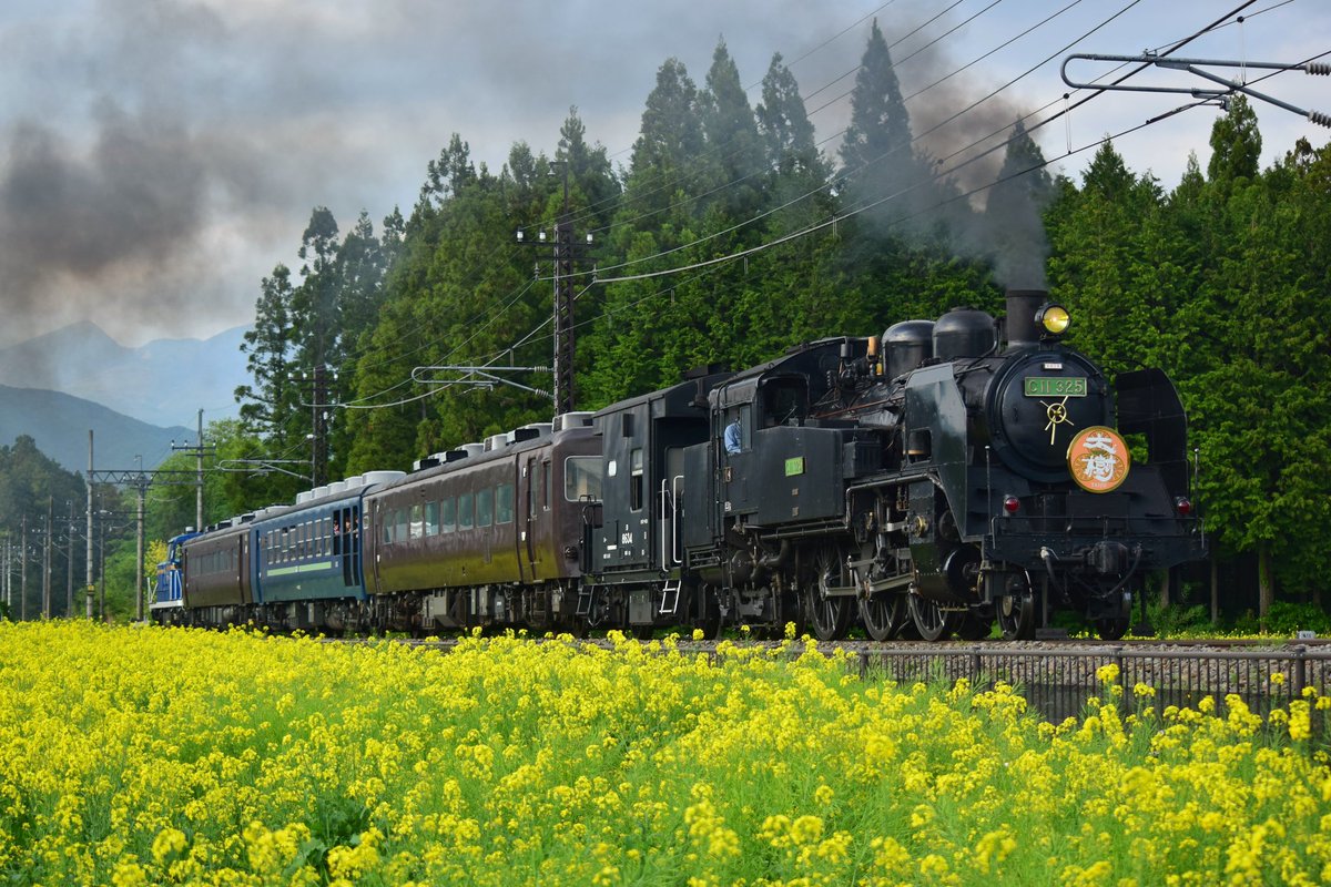 loveC57180's tweet photo. 2026/5/7㈭ 東武鉄道(日光線・鬼怒川線)
C11325 + ヨ8634 + 14系客車× 3両
+ DE10-1109
①「 SL大樹ふたら 72号 」 #鬼怒川橋梁
② 「 SL大樹ふたら 71号 」 #上今市駅
③「 SL大樹 6号 」 #倉ヶ崎SL花畑
#SL大樹 #SL大樹ふたら #東武鉄道
#東武日光線 #東武鬼怒川線
#C11325 #C11207 #DE101099 https://t.co/czxQAXh4P6