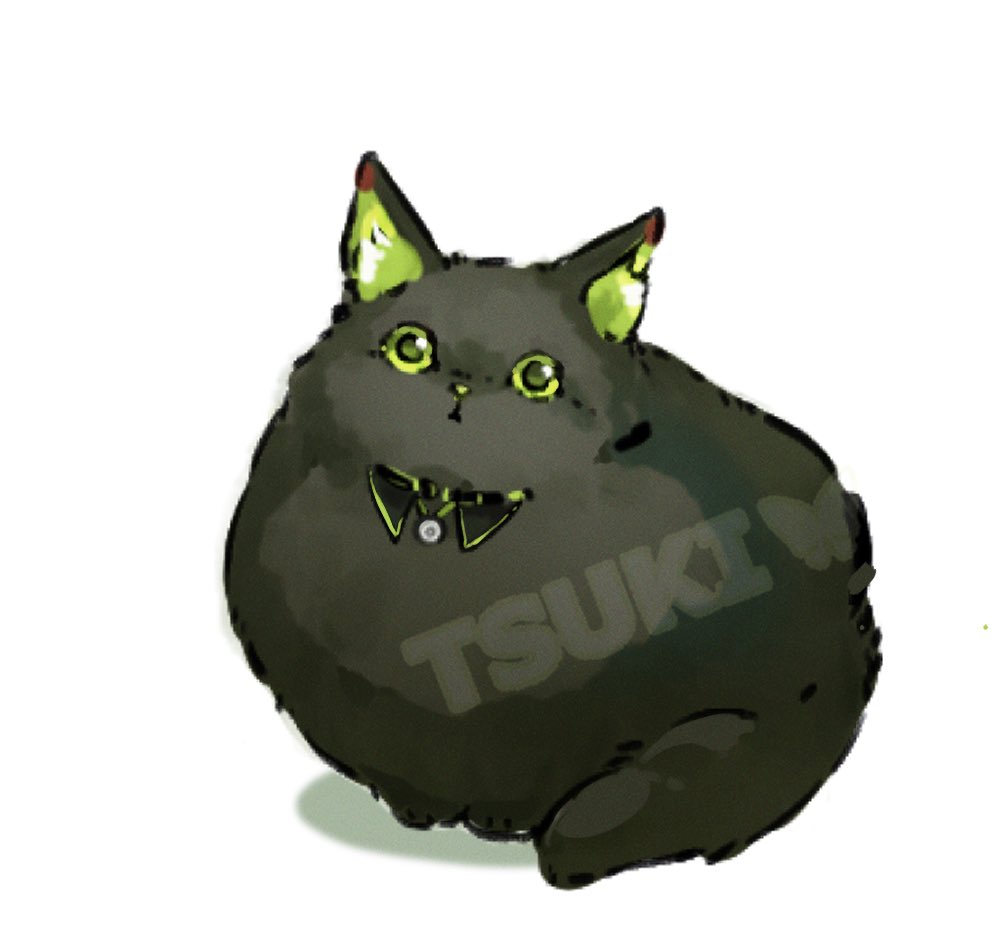 TSUKI🦋月月子 tweet media