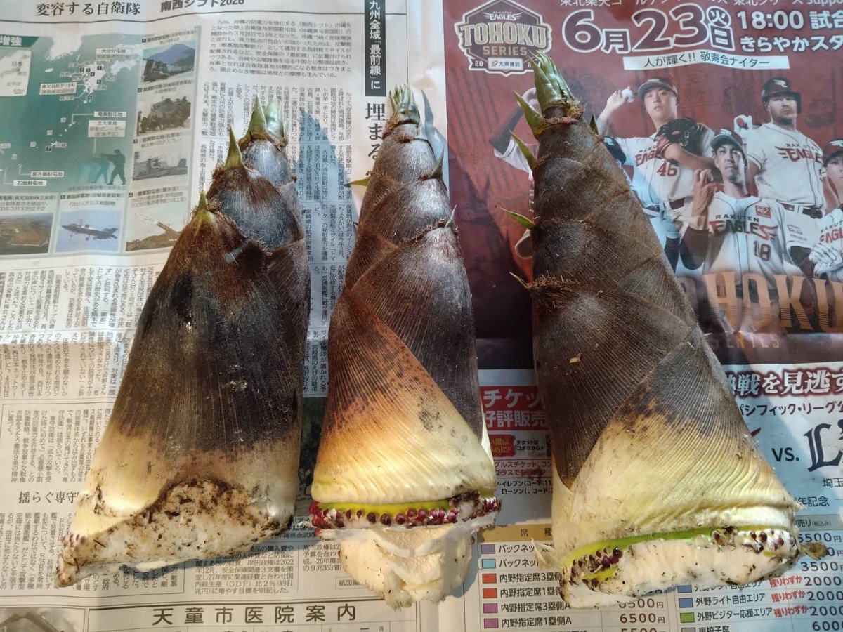 ウニ絶滅危惧種 tweet media