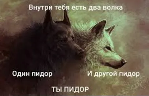 Ender Step tweet media