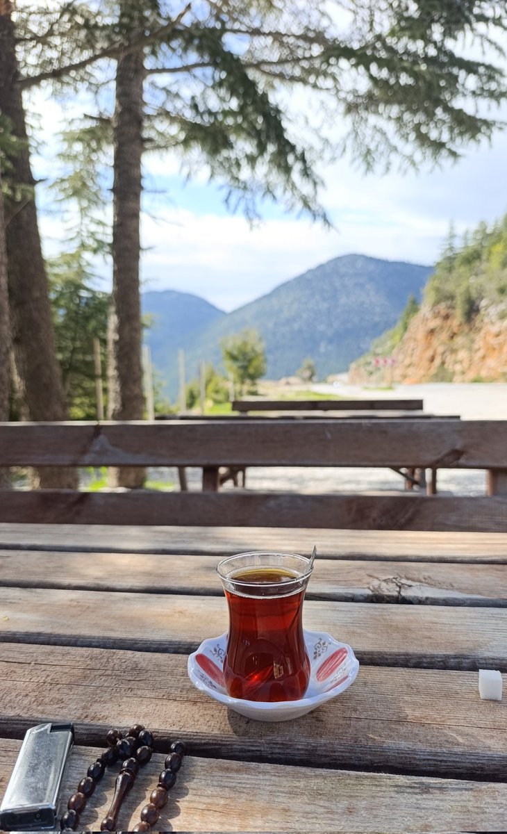 Hher314's tweet photo. Yollar bize çok şey öğretir. Özellikle yalnızsanız. Kendinizle konuşursunuz, kendinizle ve içinizde ki unutulmuş ruhla muhasebe yaparsınız. Nihayetinde varılacak bir yer yok, yolun sonu yine yoldur...🌾 https://t.co/TvgbS6CnTz