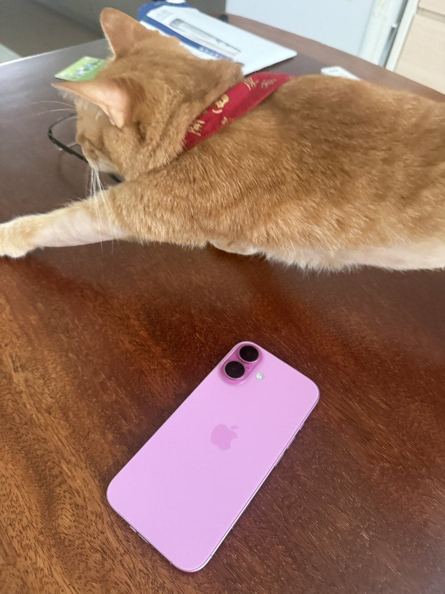一陞不是醫生 tweet media