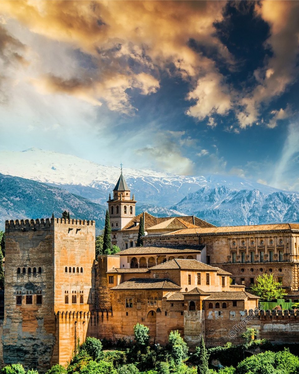 Travolax | Always Traveling tweet media