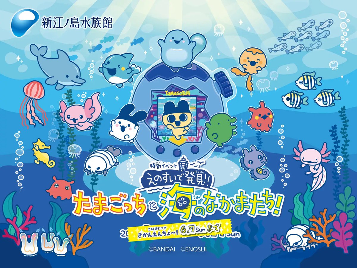 たまごっちグッズ情報 tweet media