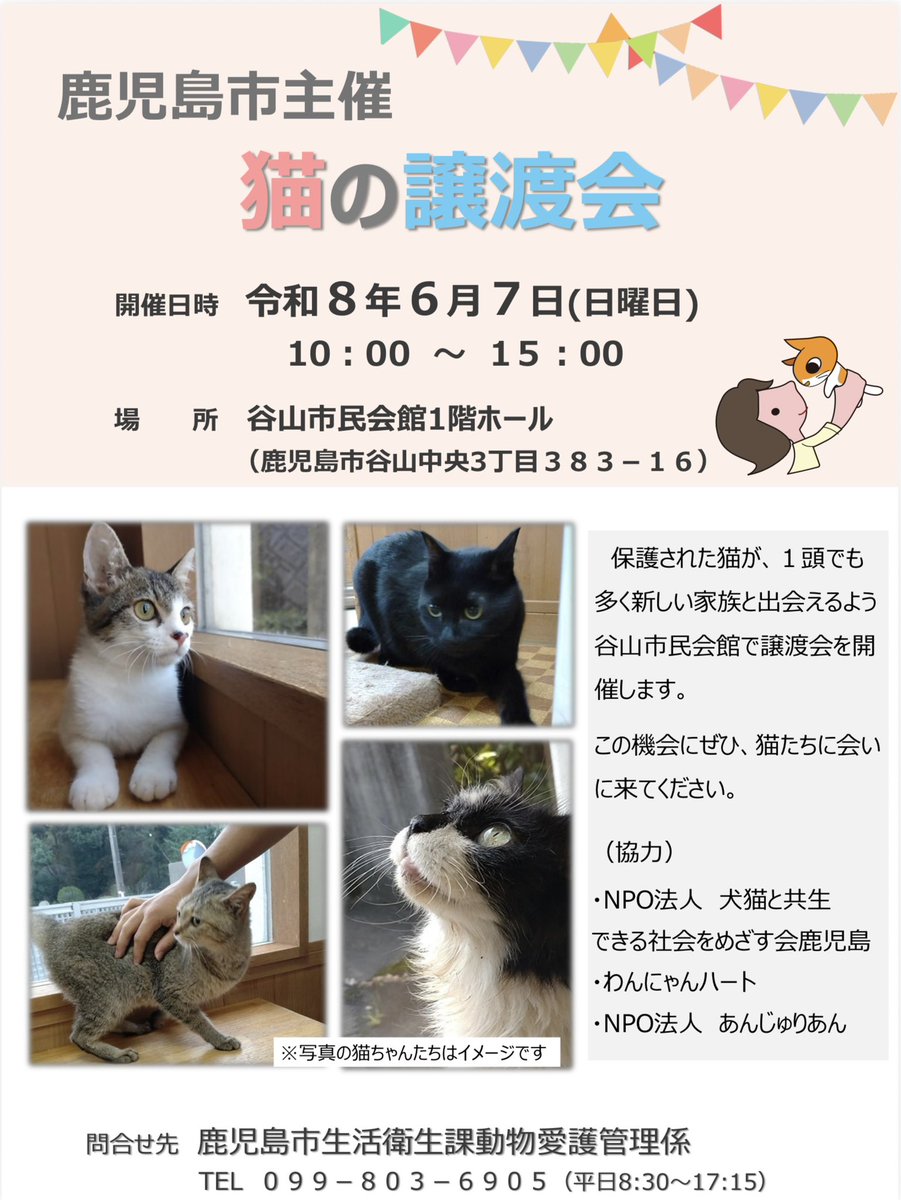 【猫の譲渡会🐈】
鹿児島市主催で動物愛護団体による猫の譲渡会を開催します。
1頭でも多くの猫が新しい家族の元で暮らせるよう、皆様のご参加をお願いします🐾
日時：6月7日(日)10時～15時
場所：谷山市民会館1階ホール
問合せ：生活衛生課099-803-6905