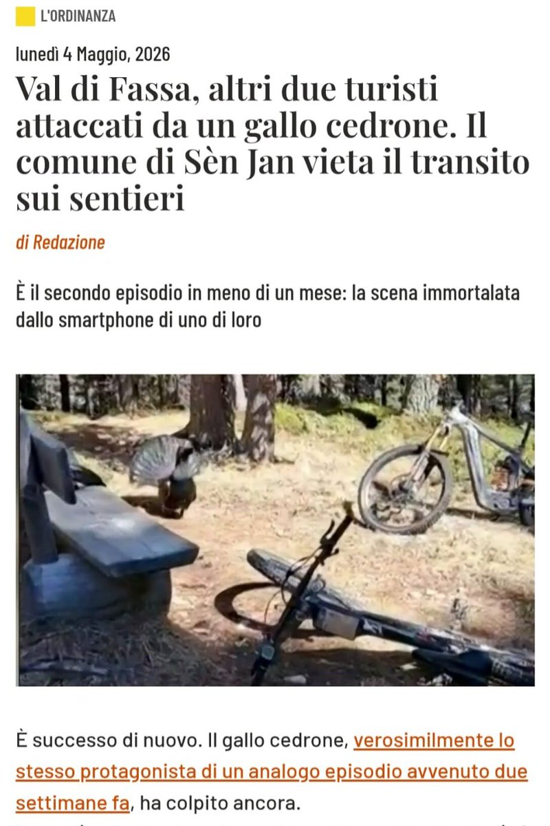 Manco fosse un velociraptor.

Paese finitissimissimo.