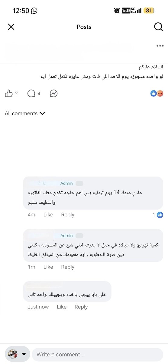 عمرو عواد tweet media