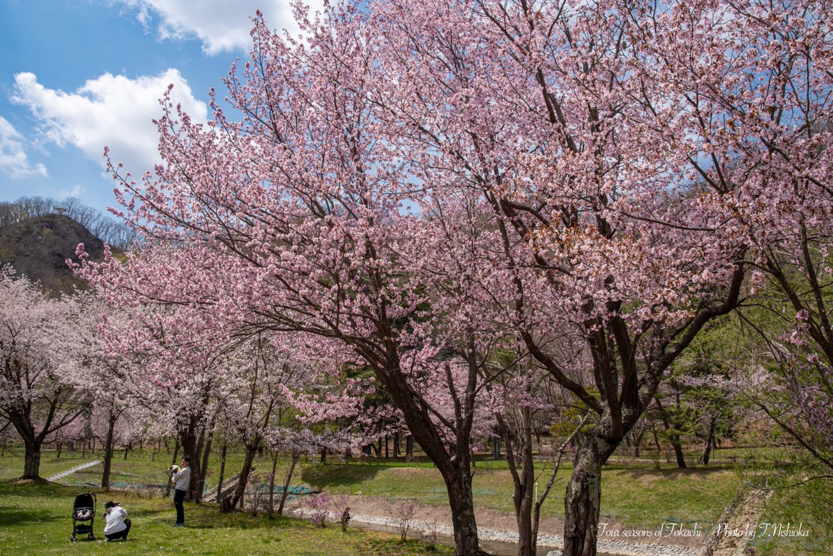 nishi@北海道十勝の風景写真 tweet media