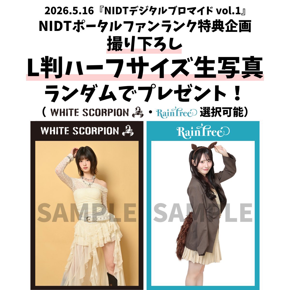 NIDT_Official (@NipponIdolToken) / Posts / X