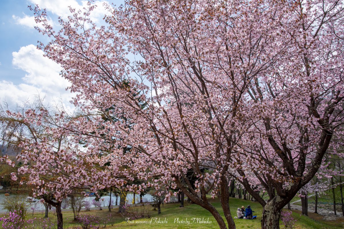 nishi@北海道十勝の風景写真 tweet media