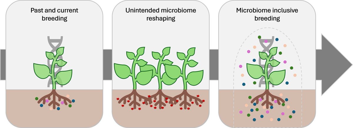 Microbial Biotechnology (MBT) tweet media