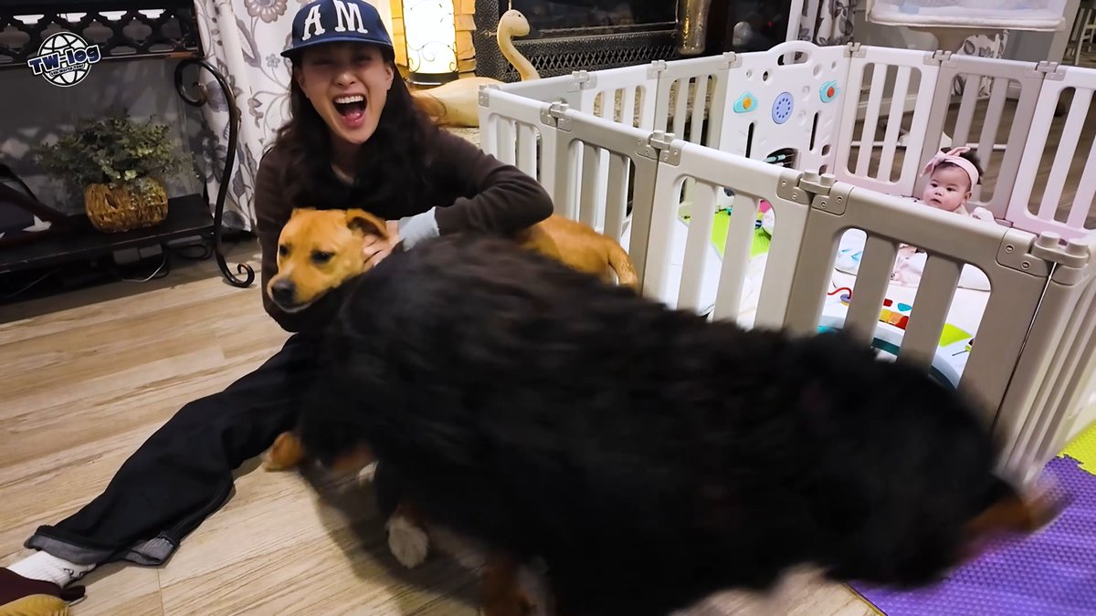 Jihyo's happy face when the two dogs gathered around her 🥹