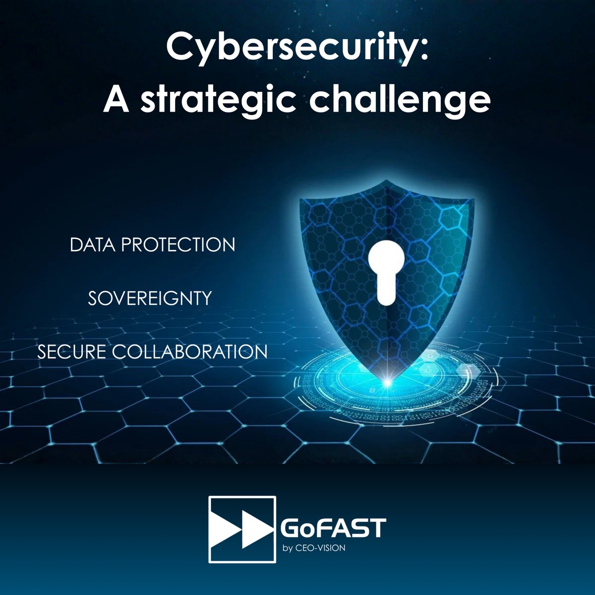 GoFAST de CEO-Vision tweet media