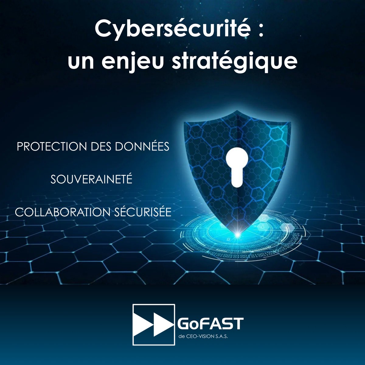 GoFAST de CEO-Vision tweet media