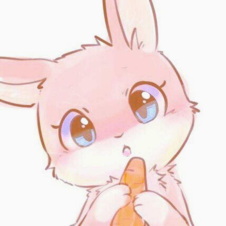 辛芷蕾分蕾 tweet media