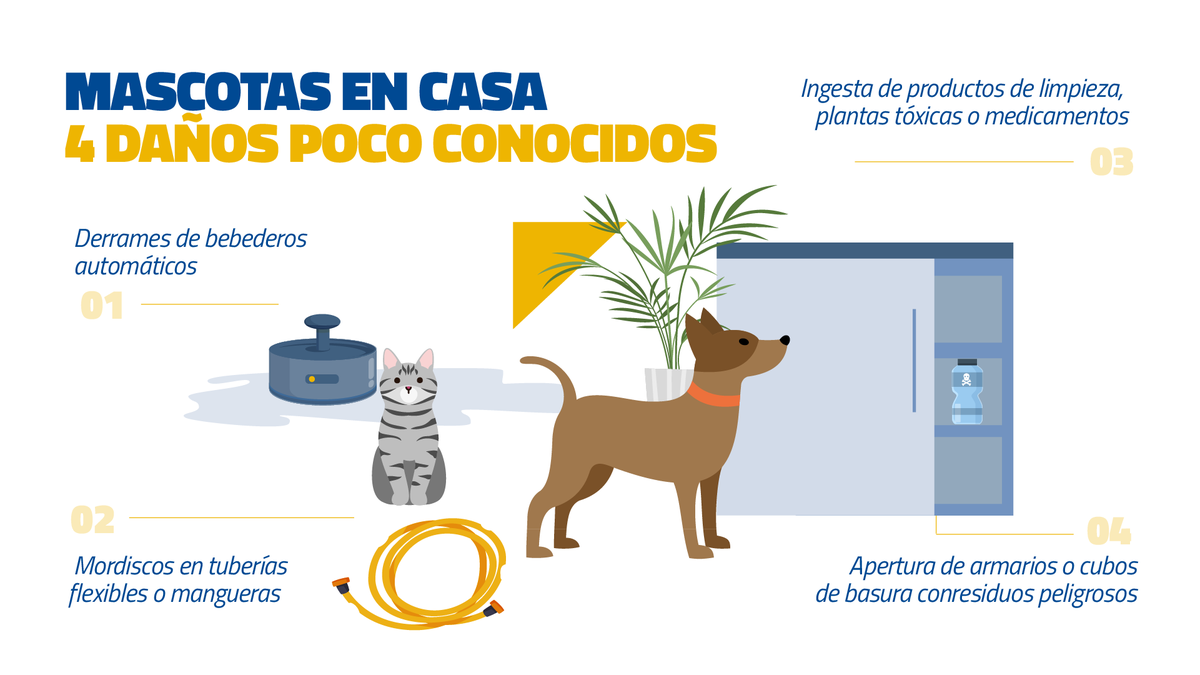 🐾 Tener una mascota en casa aporta muchos beneficios, pero también implica riesgos menos evidentes que suelen pasar desapercibidos hasta que ocurre un imprevisto.
Estos son los más habituales. Te los mostramos en la siguiente infografía 👇📊

#Mascotas
