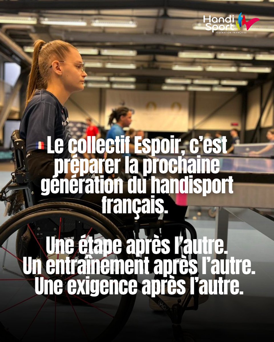 FFHandisport tweet media