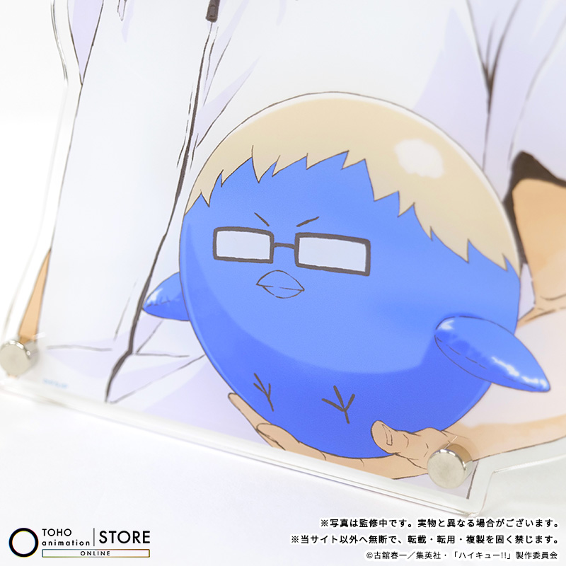 ハイキュー!!】 ＼TaS限定・新商品／ ビーチボールビジュアルの