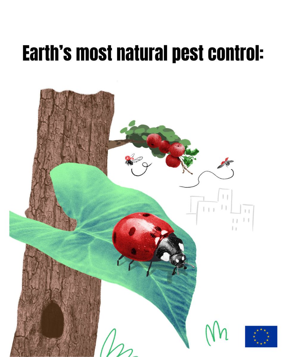 EU Environment tweet media