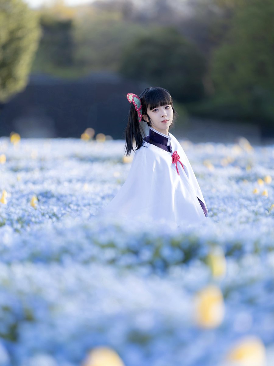 *cosplay ｜鬼滅の刃
  photo :<a href="/naeyuki0331/">もーりー</a> 

  瑠璃唐草