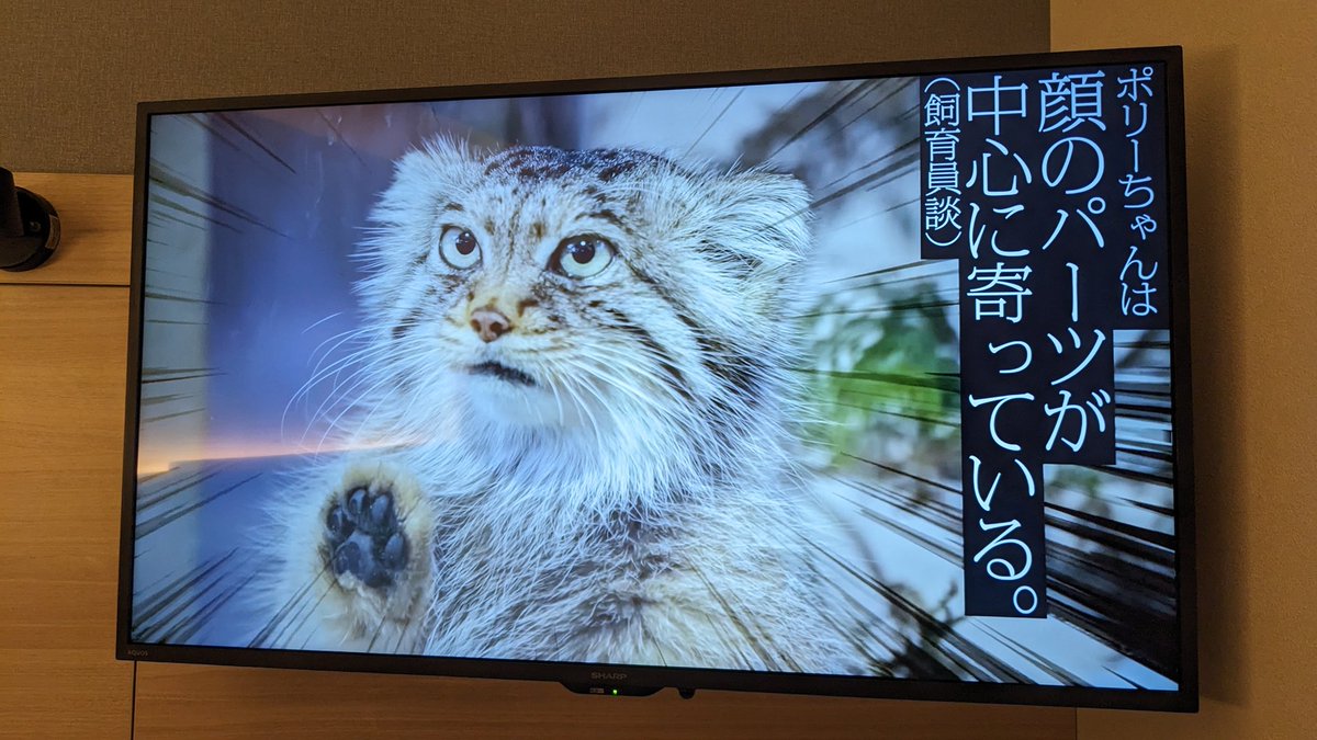 マヌラーの山下 tweet media