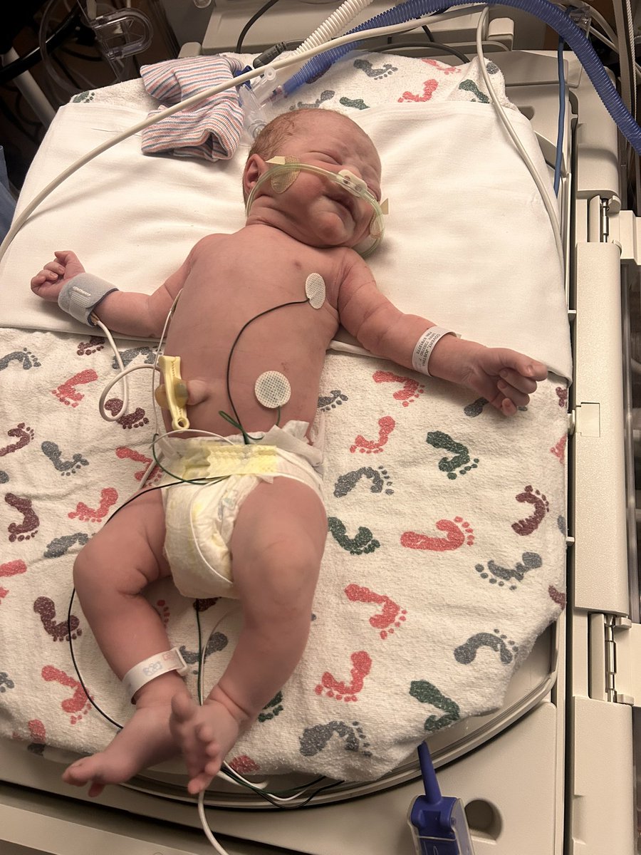 Bryson Buddahbelly tweet media