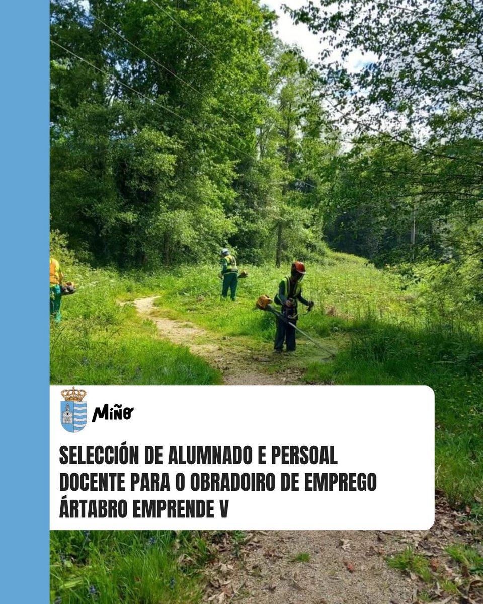 Concello de Miño tweet media
