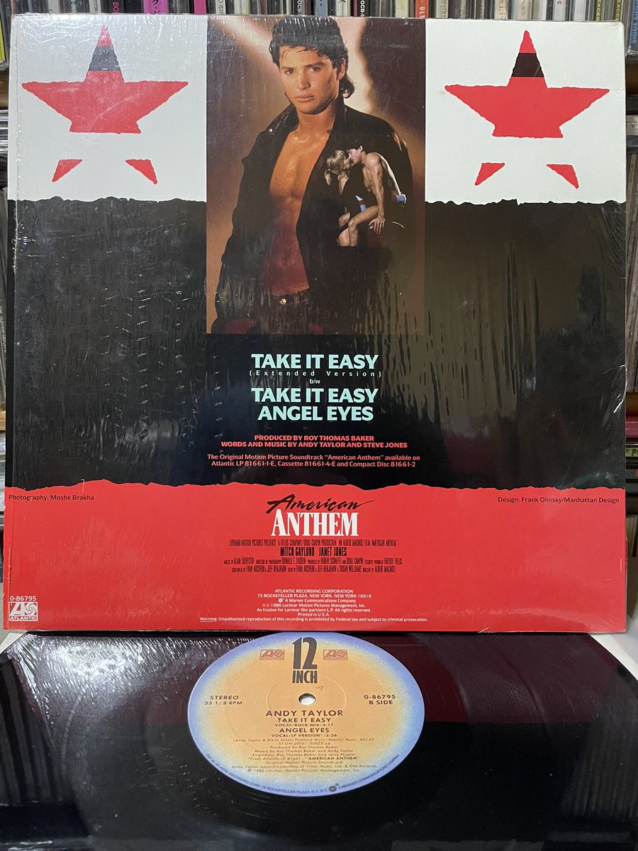 ANDY TAYLOR / TAKE IT EASY 86年米盤12inchシングル・レコード