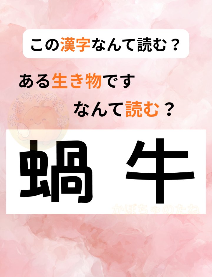 かぼちゃのたね tweet media