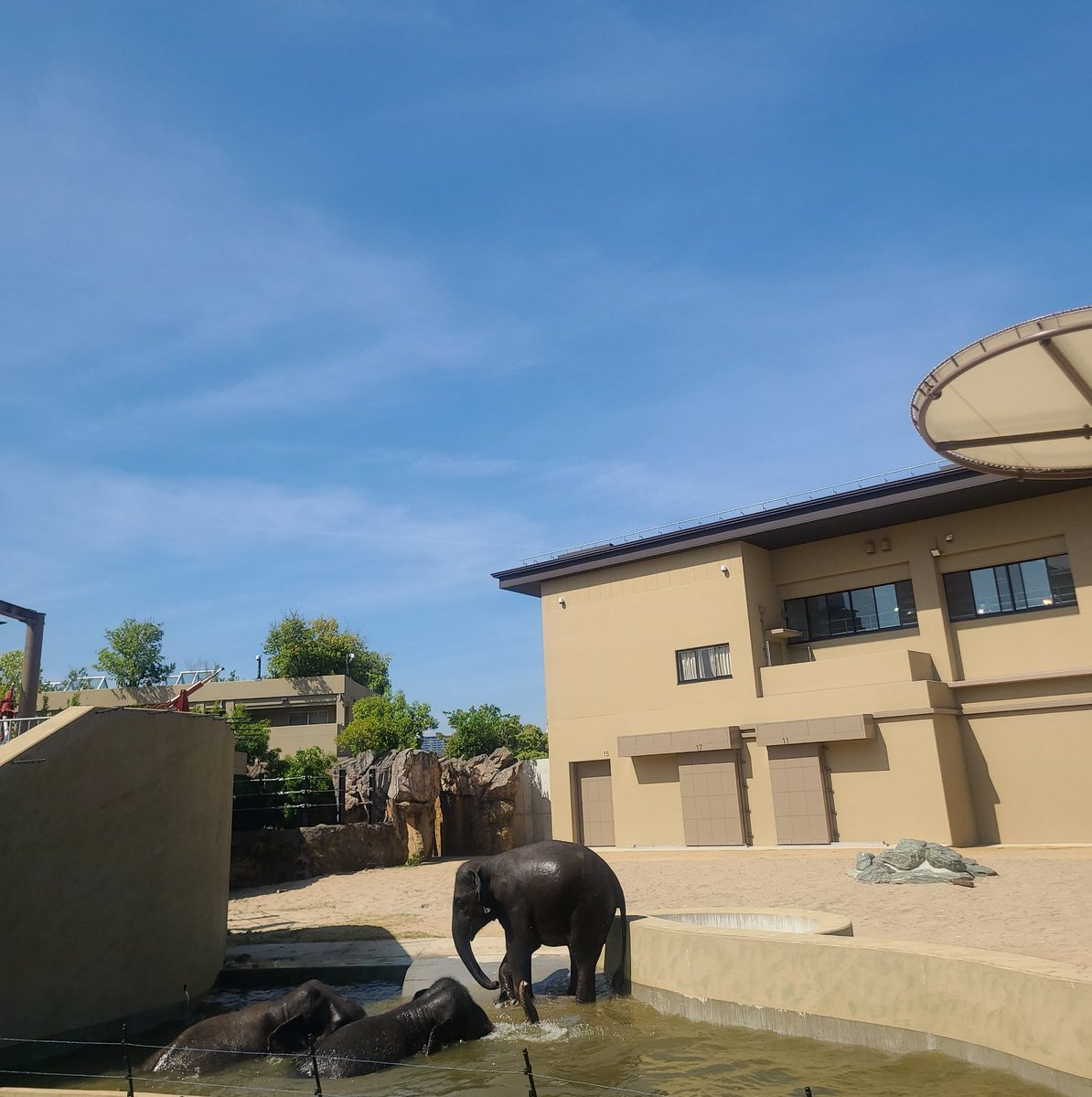 楽しい休日でした🐘🐘🐘 また明日からがんばろーう🐻