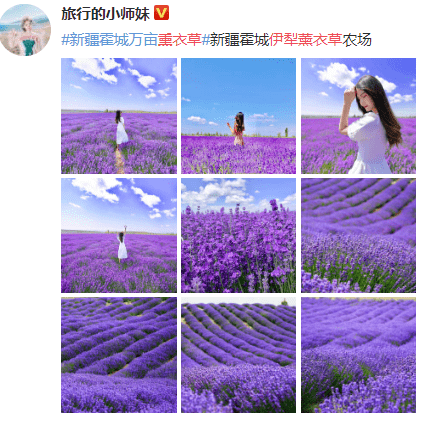 Hubert Joe tweet media