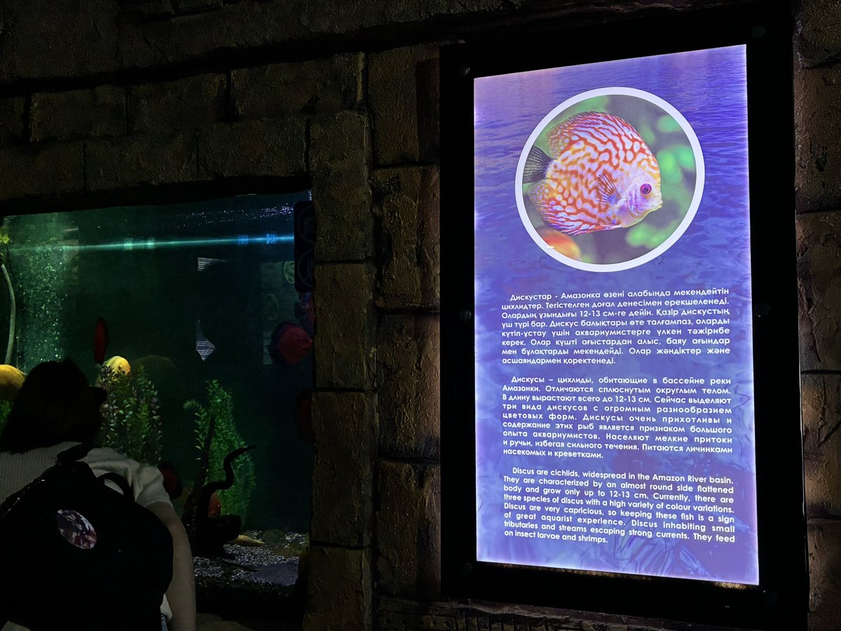 世界で最も海から遠い水族館。カザフスタンはアスタナのAliland Oceanarium.

子ども向け施設のひとつだし、正直規模は小さくサンゴもおもちゃで、必見！というわけではない。でも海に面していない国の子どもたちが見る海水魚って…どきどきなんだろうな。と自分も胸が弾む
