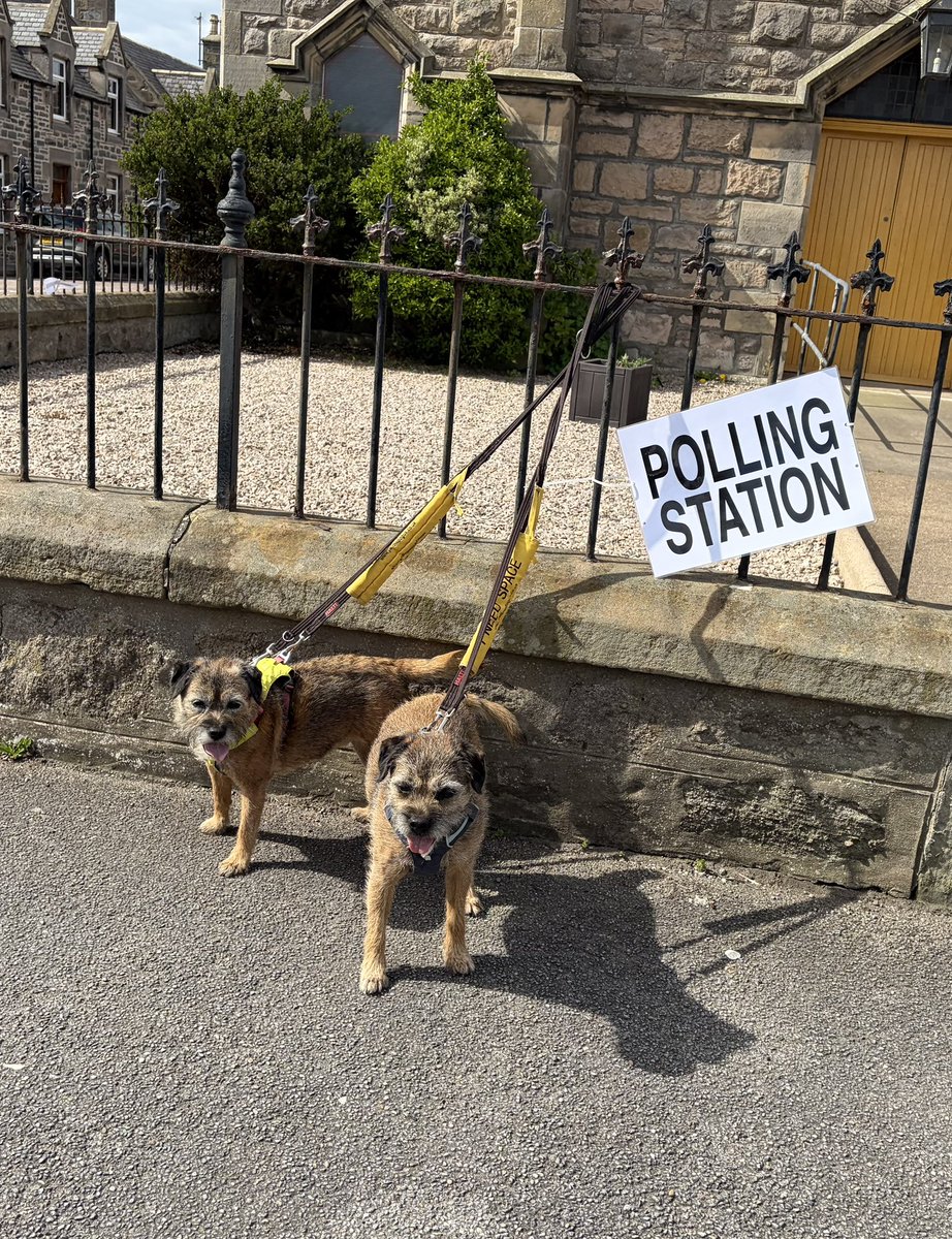 Mabel & Stanley OBE 🐶🐾🐕 tweet media