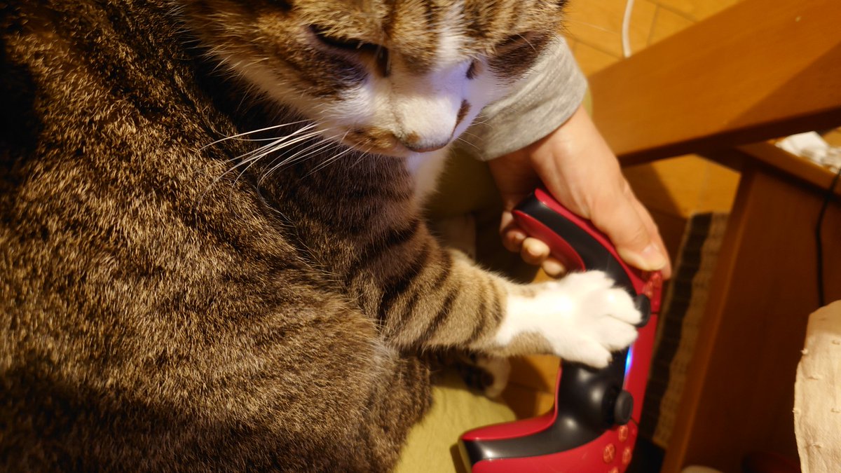 はーばるてー tweet media