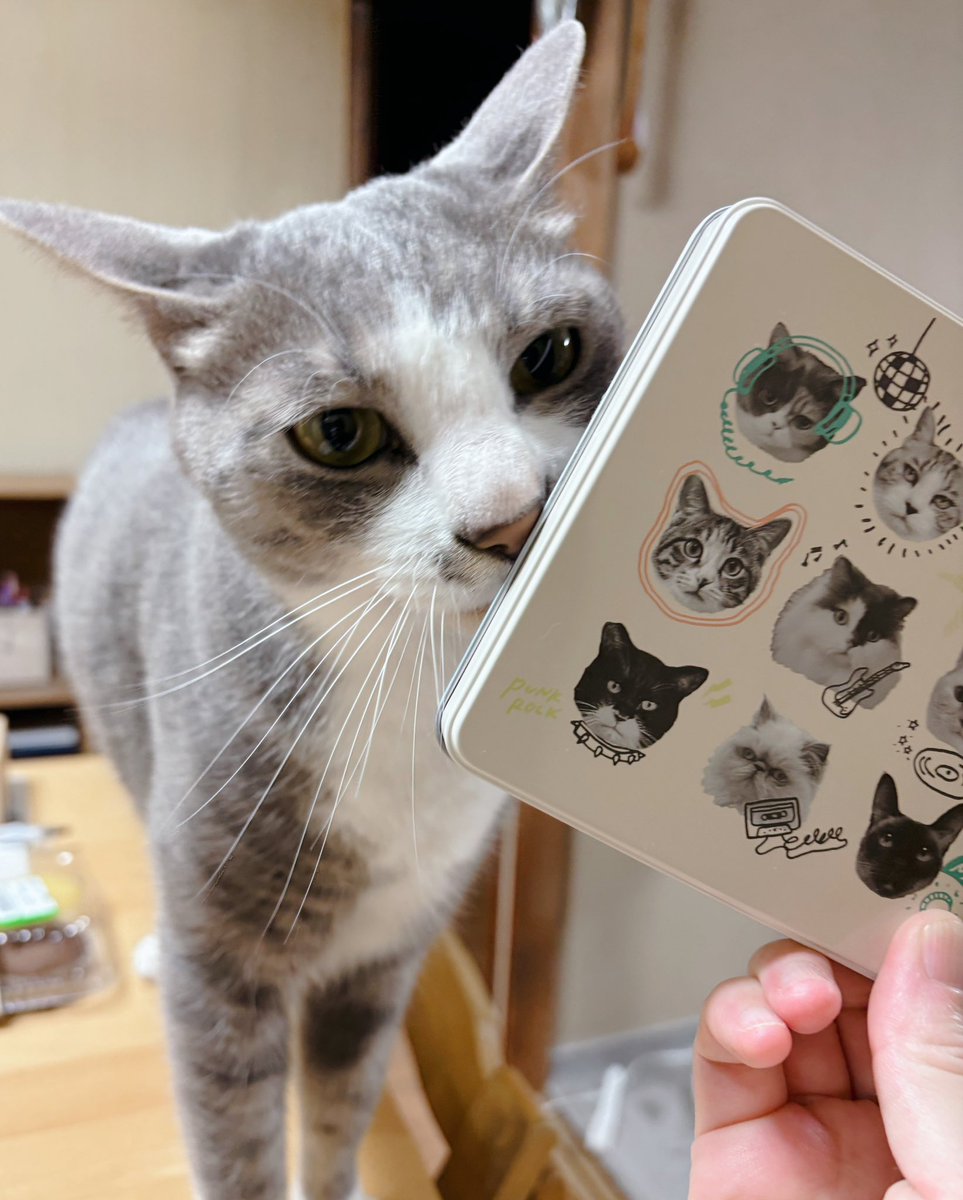 うたこ（UTAKO） tweet media