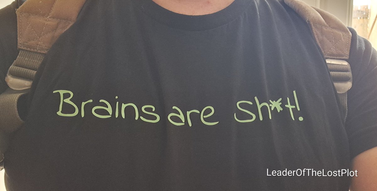 LOTLostPlot's tweet photo. Love the new shirt that B got me for my birthday. It's one of the little phrases we use when we talk about mental health struggles. 

#mentalhealthcarer 
#mentalhealth 
#anxietyawareness 
#psychosisawareness https://t.co/2F0iUH0Dpq