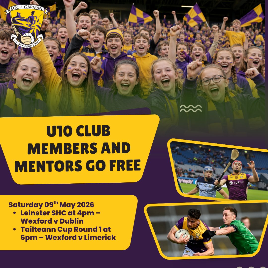 Wexford GAA tweet media