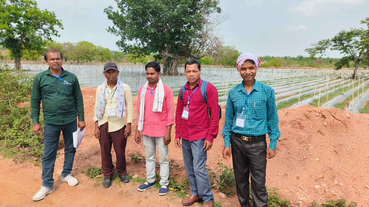 samekit_k's tweet photo. 🌾 45 farmers from East &amp; West Singhbhum joined an inspiring Exposure Visit &amp; Peer Learning Program at Hazaribag organized by Samekit Jan Vikas Kendra.
🚜 Learning modern farming
💡 Exploring agri-entrepreneurship
🤝 Building stronger rural livelihoods
#Farmers #Agriculture #FPO https://t.co/Lun5KT8irU