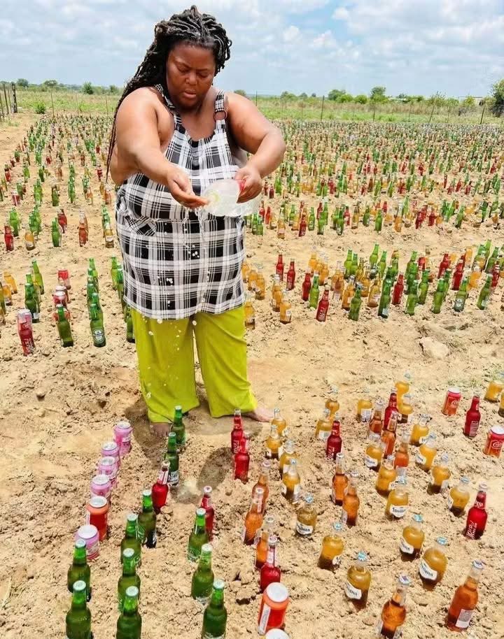 Farmer 🌱 tweet media