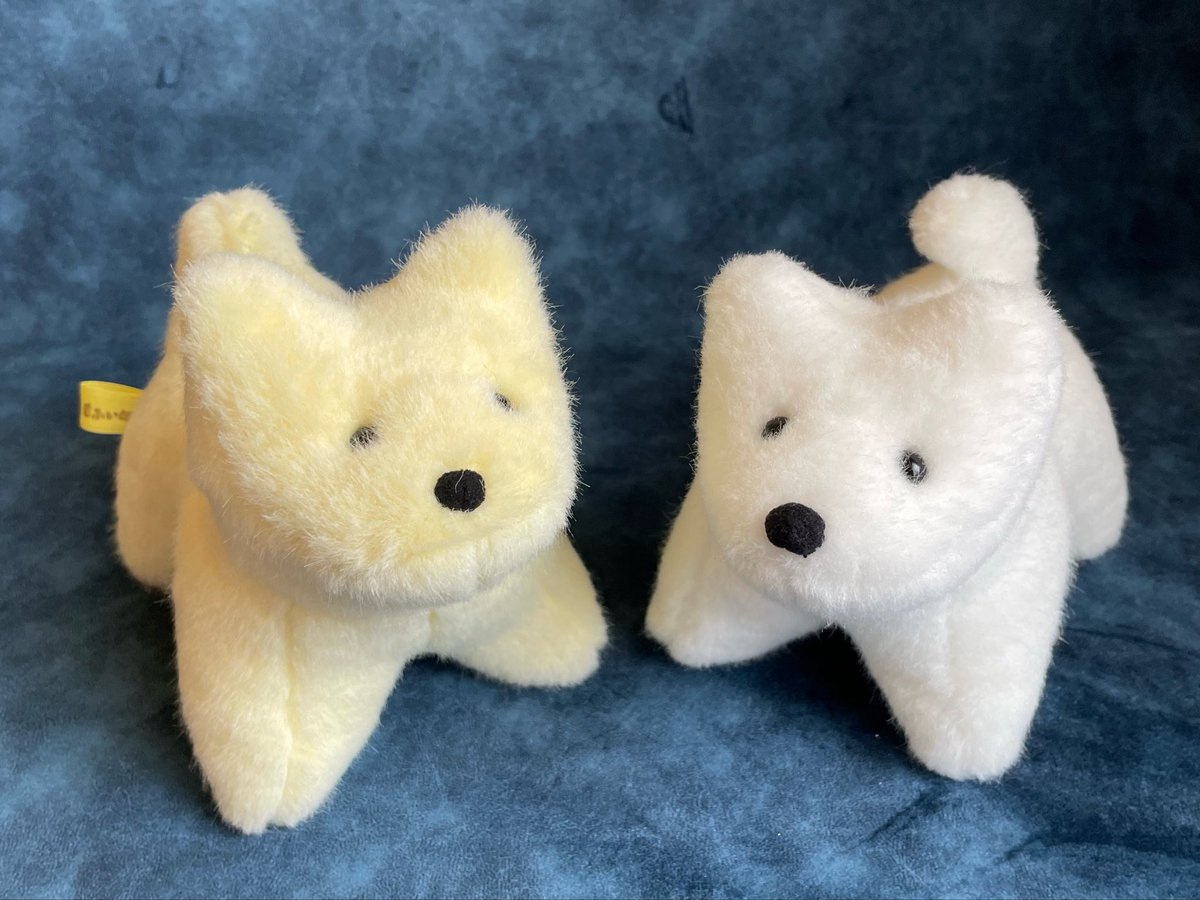 石木文　てふてふ　まとめ売り Counting sheep No.002 マスコット/Thikity friends