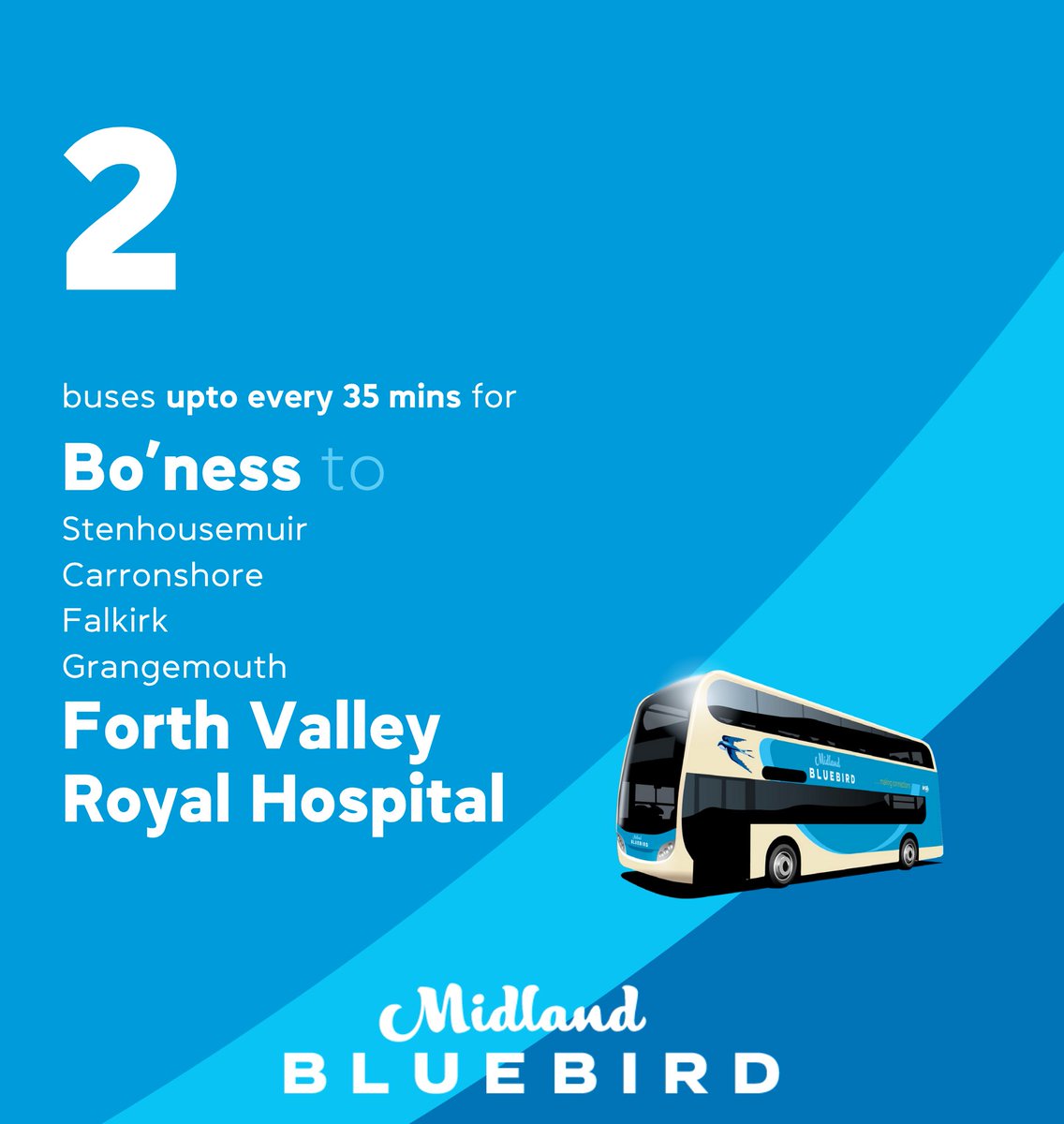 Midland Bluebird tweet media