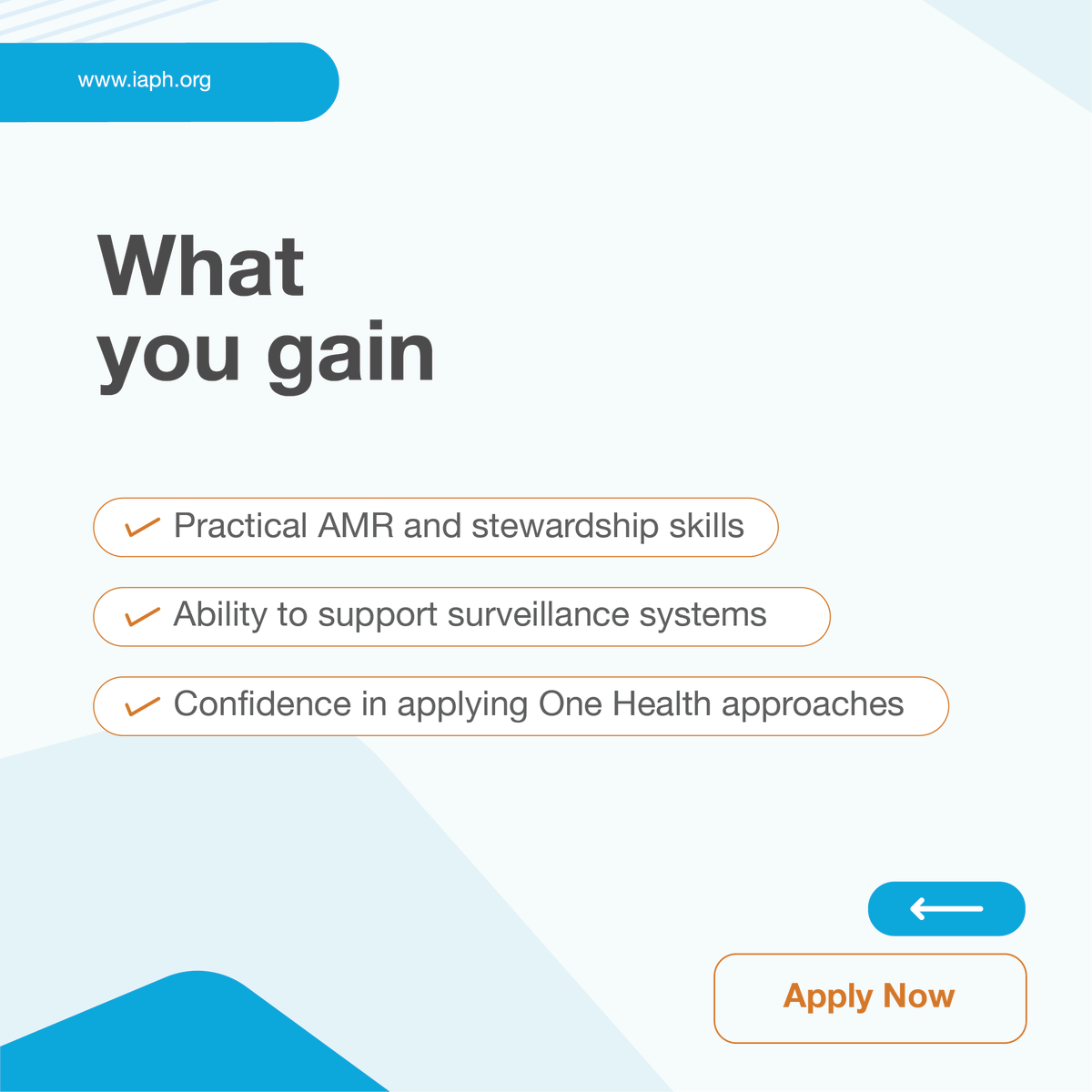 IAPHorg's tweet photo. 🦠 Antimicrobial resistance is shaping the future of public health.

This diploma equips you with the skills to understand, monitor, and respond to AMR across systems and sectors.

Start building practical expertise →

🔗Apply now: https://t.co/Q51iNq8wll

#AMR #OneHealth #PublicHealthEducation #GlobalHealth #IAPH