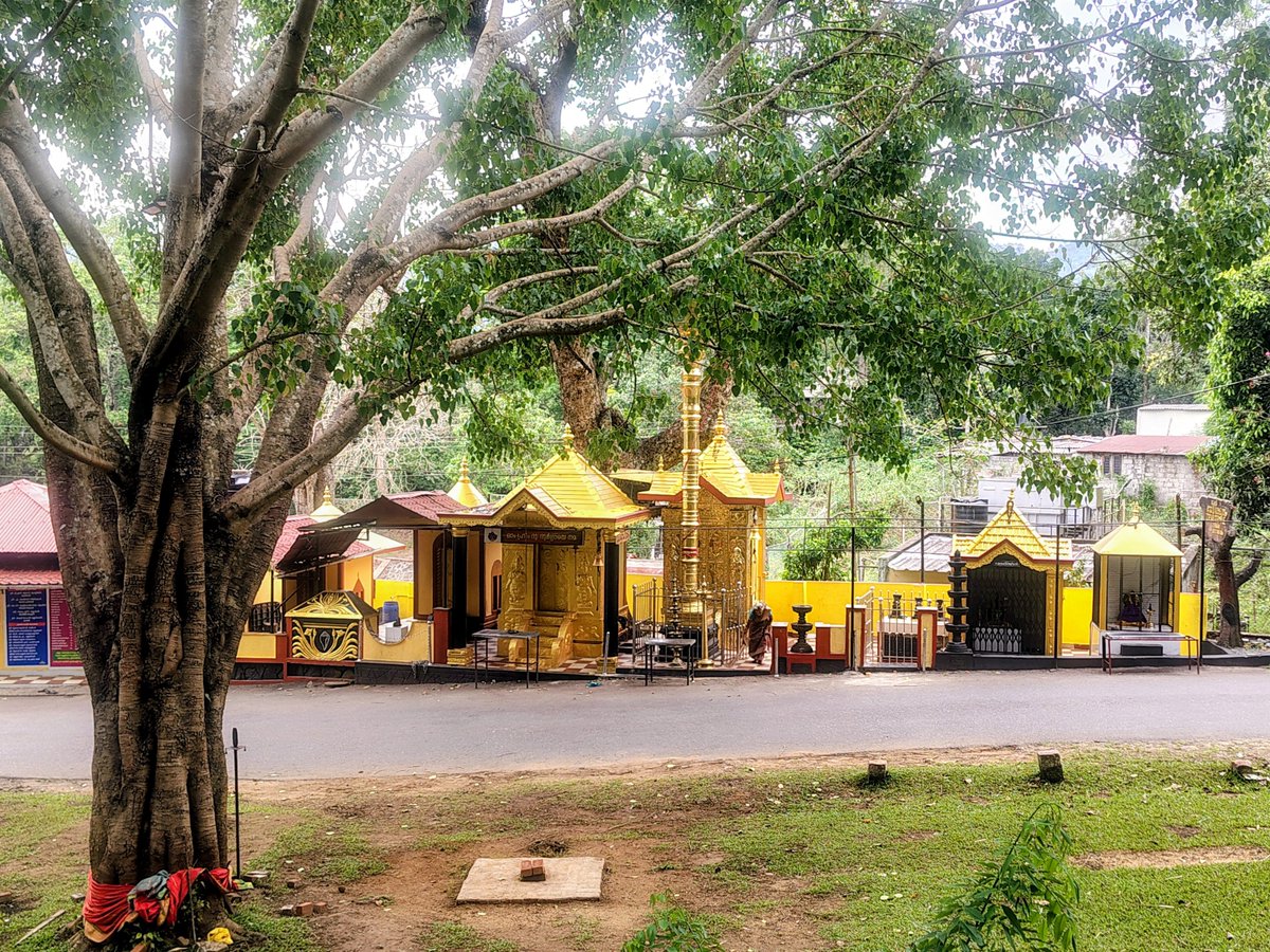 SunDudez's tweet photo. Reporting for duty at the Office of the Deputy Director, Periyar Tiger Reserve, Thekkady.
Seeking divine blessings for a 3 month internship.
🥰🏍️ https://t.co/mApoOi0aAA