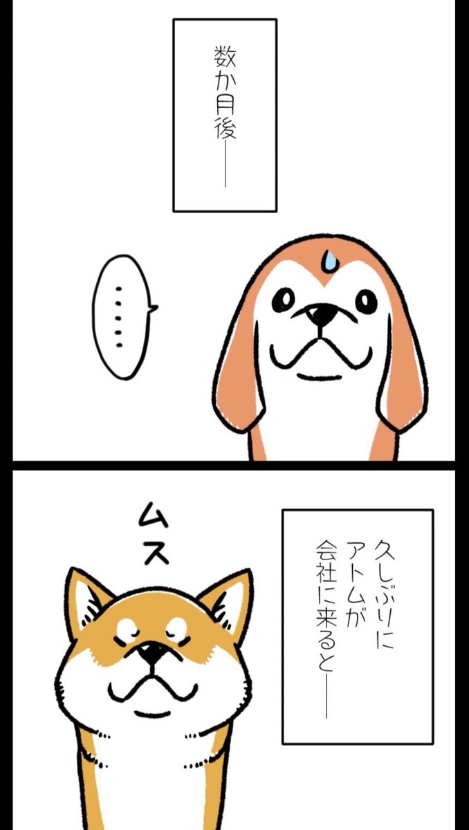 【旧作「もふもふ犬まみれ」セレクション『でこぼこコンビ!』part.1」② 