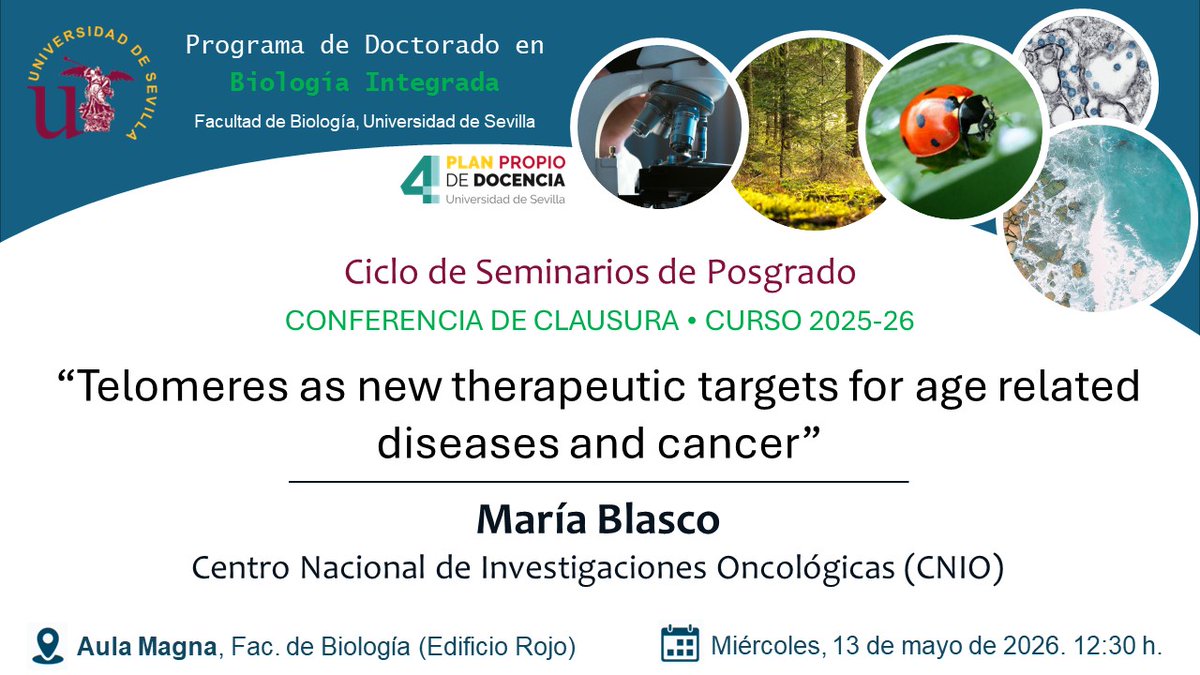 mubaus's tweet photo. No puedes perderte el fin de curso desde @CNIOStopCancer para hablar de telómeros, envejecimiento y cáncer https://t.co/1jTS8ze6r2