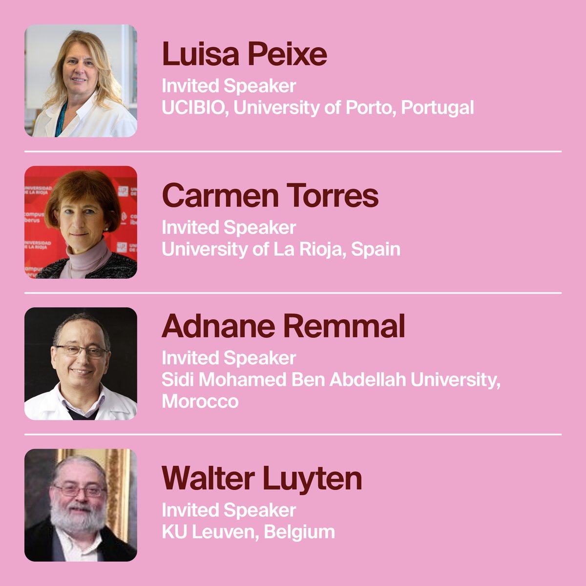 MDPI Sciforum - Conferences tweet media