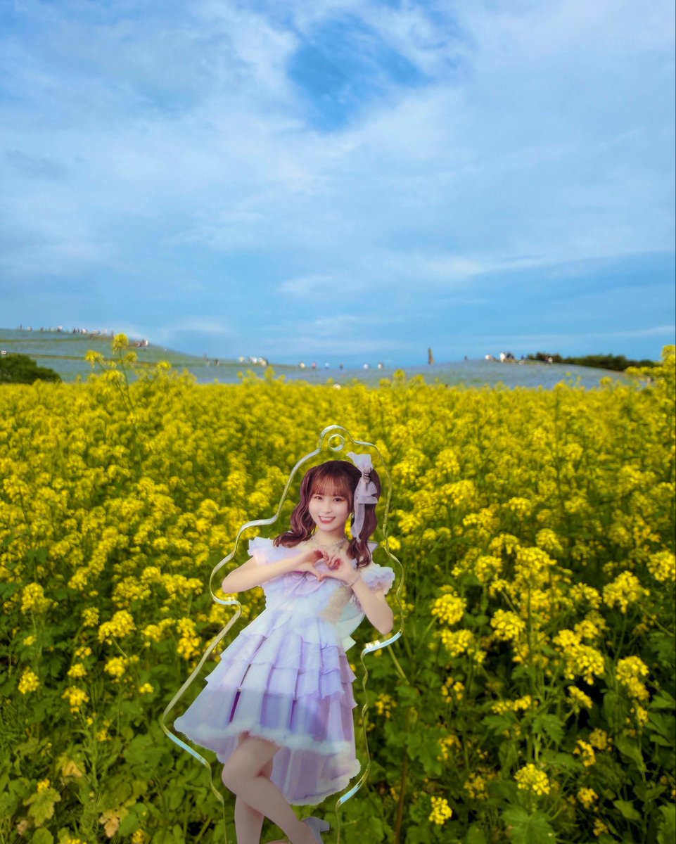 ひたち海浜公園行ってきた🧚💫 #大場花菜 @hana_oba